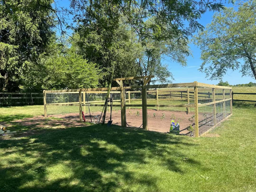 Garden enclosure with wooden fence and plants under blue sky and green trees.