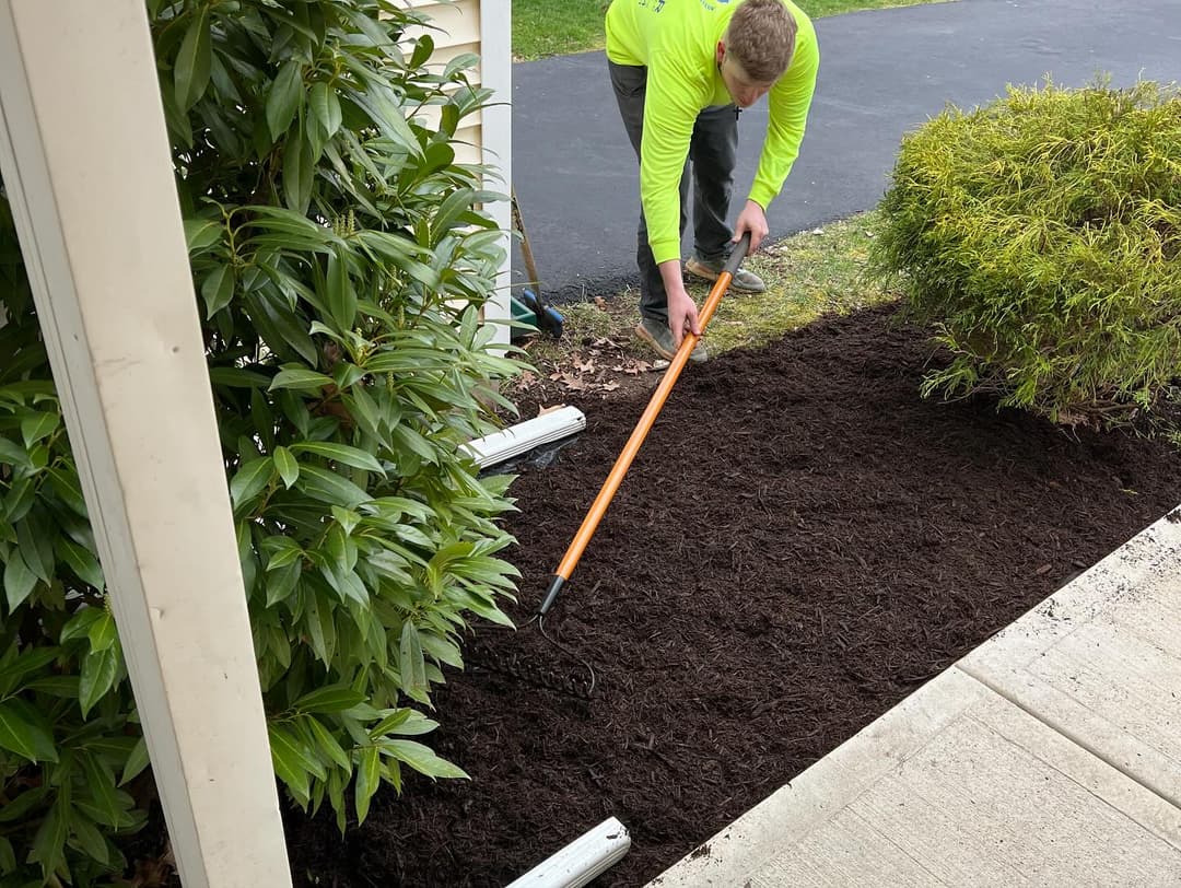 Person spreading mulch in a garden bed with a rake, surrounded by shrubs.