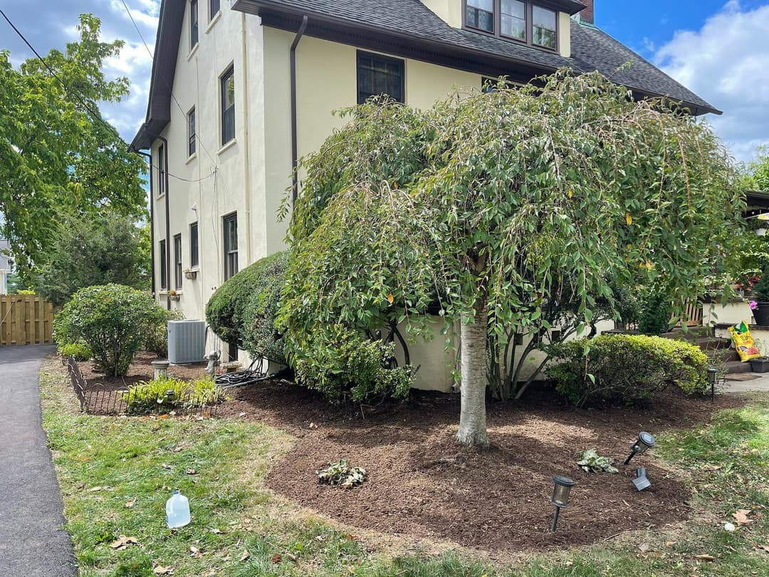 Lush garden with trees and shrubs surrounding a well-maintained house exterior.