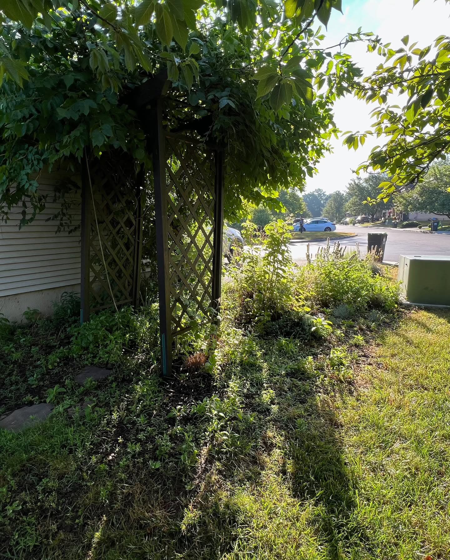Before image