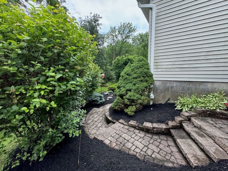 Transformative Mulch Installation in Branchburg image