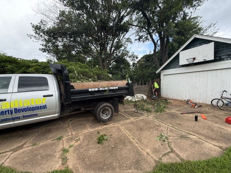 Efficient Storm Damage Tree Removal Service image