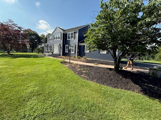 Backyard Transformation with Black Mulch and Grasses image