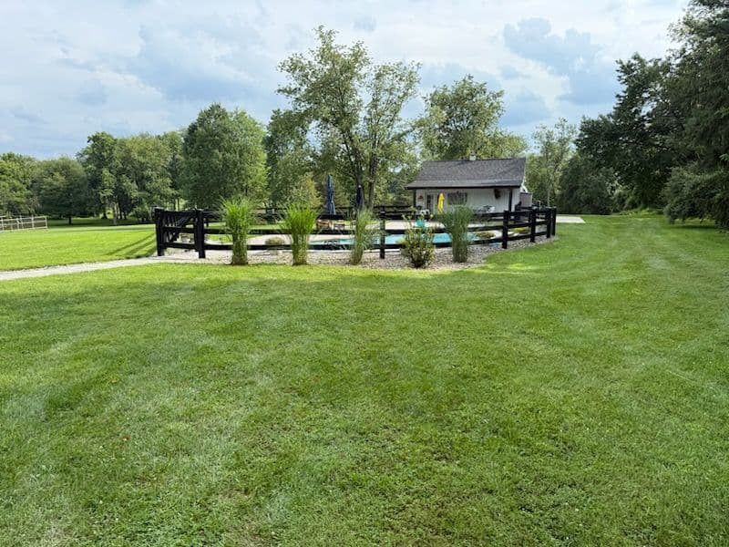 Gallery photos for Backyard Transformation with Black Mulch and Grasses: Image #1