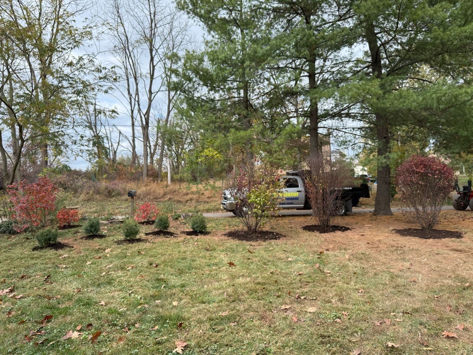 Flemington Yard Makeover with Autumn Colors image